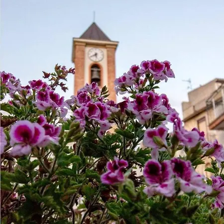 Palazzo Montagna *